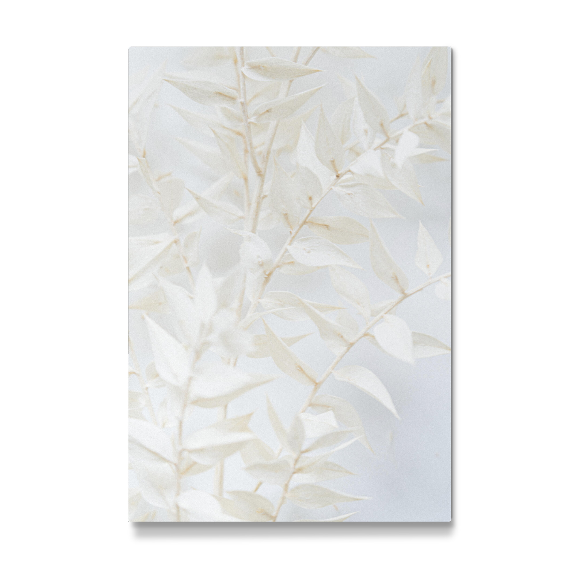 Galerie-Print "Misty Twig" 75x50 cm artboxONE