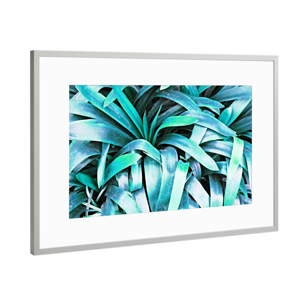 Poster mit Rahmen Silber "Leaves" artboxONE - Natur