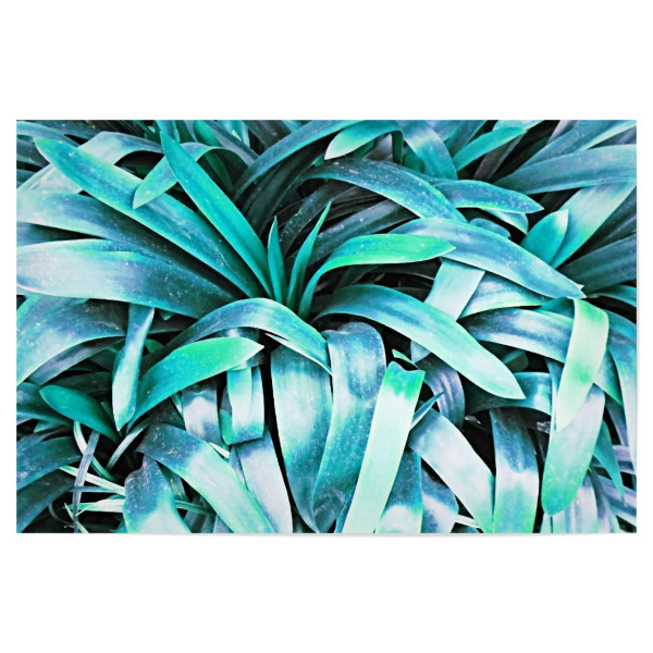 Poster 30x20 cm "Leaves" artboxONE - Natur