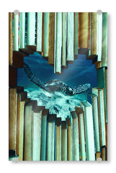 Acrylglasbild "Reading time by Tas" artboxONE - Natur,Tiere,Unterwasser
