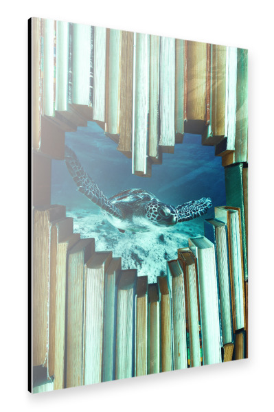 Alu-Dibond "Reading time by Tas" 30x20 cm artboxONE