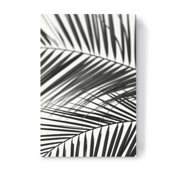 Leinwandbild "Palmenblätter Silhouette" artboxONE - Natur,Floral,Abstrakt,Schwarzweiß,Reise / Asien