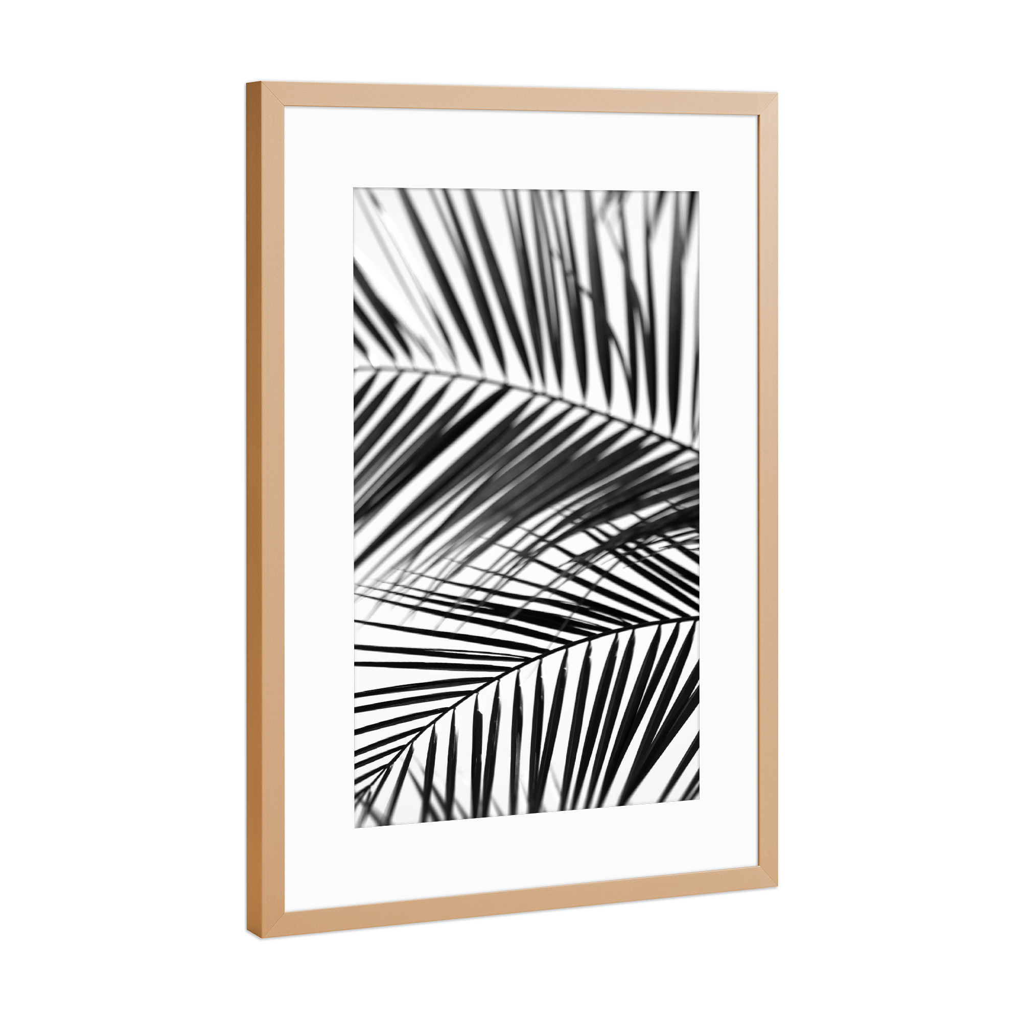 Poster mit Rahmen Kupfer "Palmenblätter Silhouette" artboxONE - Natur,Floral,Abstrakt,Schwarzweiß,Reise / Asien