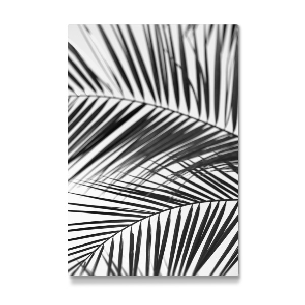 Galerie-Print "Palmenblätter Silhouette" 30x20 cm artboxONE