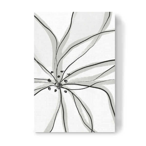 Leinwandbild "Fragile Flower" artboxONE - Floral,Abstrakt - Lineart,Feminin,Abstract,Abstrakt,Blumen,Flowers,Minimal,Minimalistisch,Plant,Pflanze