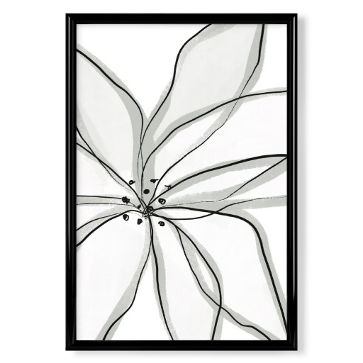 Fragile Flower