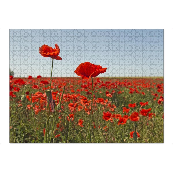 Puzzle Ravensburger "Mohnblumentraum" artboxONE - Natur,Floral - Mohn,Natur,Rot,Sommer,Flowers,Blumen,Field,Feld,Nature,Landschaft,Landscape