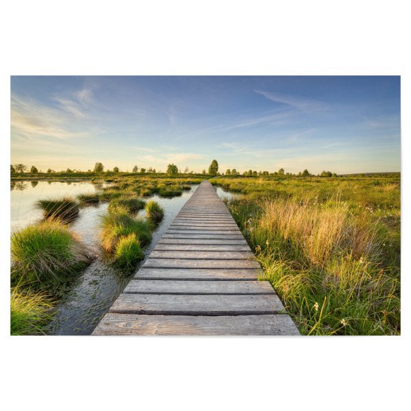 Poster "Steg durch das Hohe Venn" artboxONE - Natur,Reise,Reise / Länder