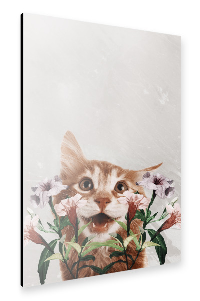 Alu-Dibond "Floral cat by Tas" 30x20 cm artboxONE