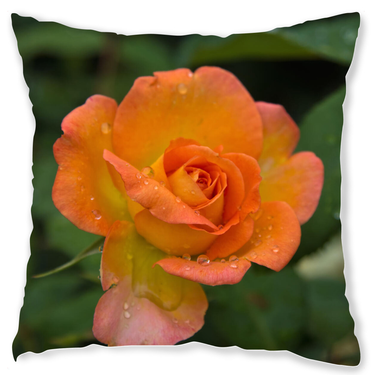 Design-Kissen "Rose mit Tropfen" artboxONE - Natur,Floral