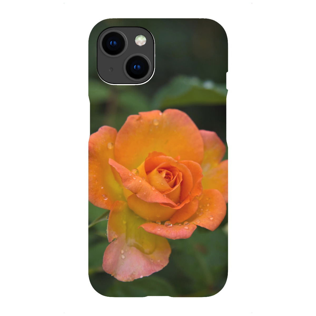 iPhone "Rose mit Tropfen" Premium-Case Handyhülle artboxONE