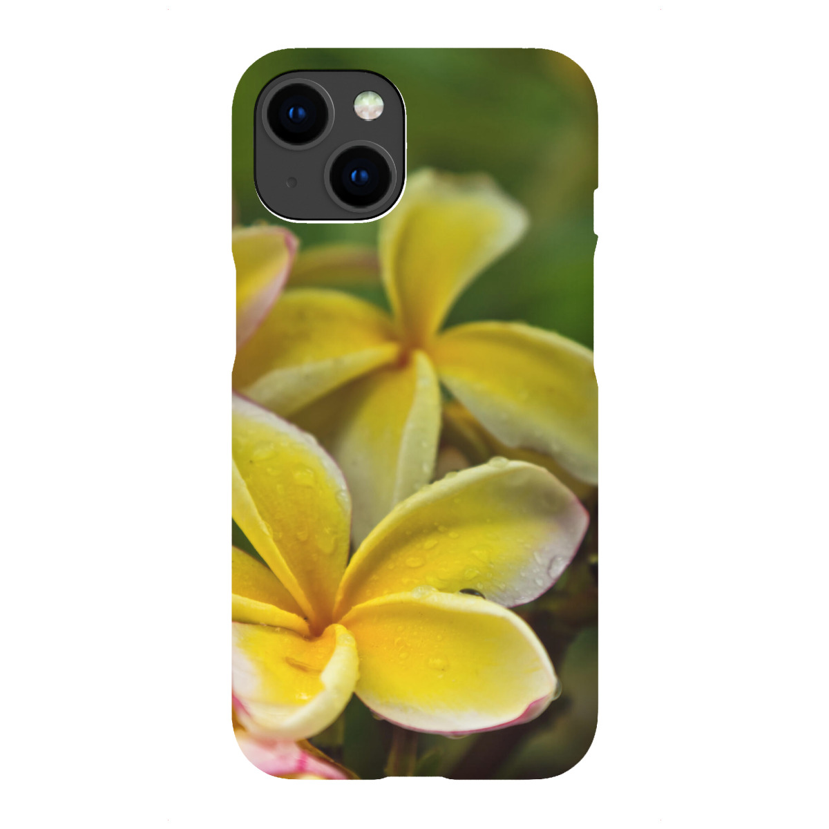 iPhone "Frangipani" Premium-Case Handyhülle artboxONE