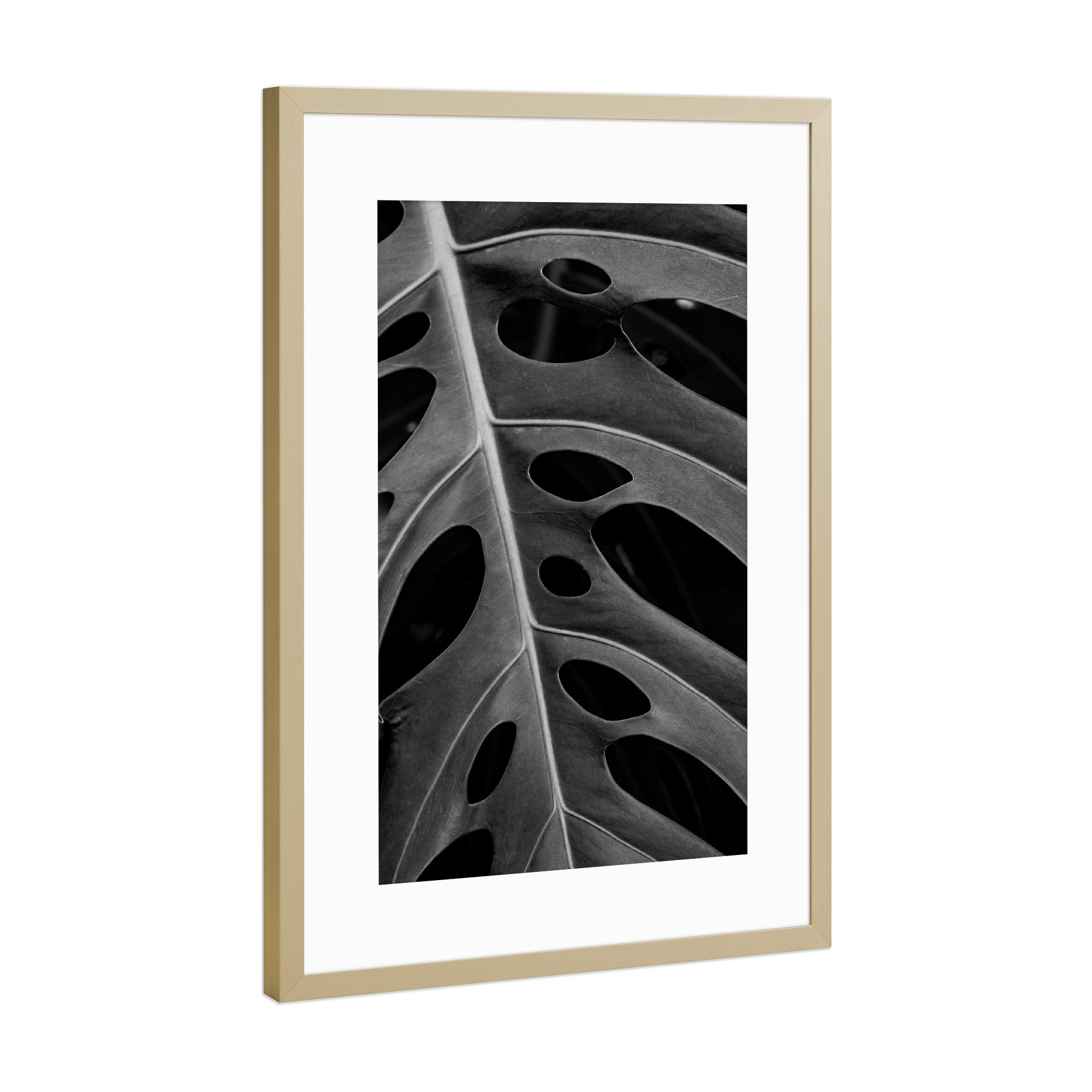 Poster mit Rahmen Gold "MONSTERA BW" artboxONE - Natur