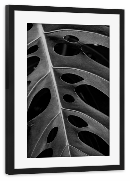 Poster mit Rahmen schwarz "MONSTERA BW" artboxONE - Natur
