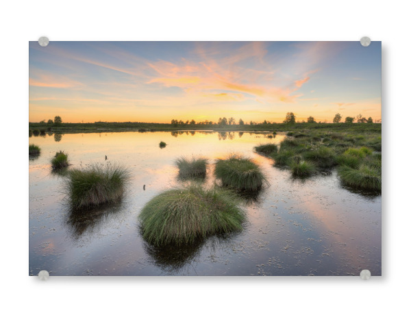 Acrylglasbild "Abends im Hohen Venn" artboxONE - Natur,Reise,Reise / Länder