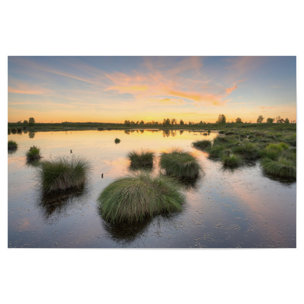Poster "Abends im Hohen Venn" artboxONE - Natur,Reise,Reise / Länder