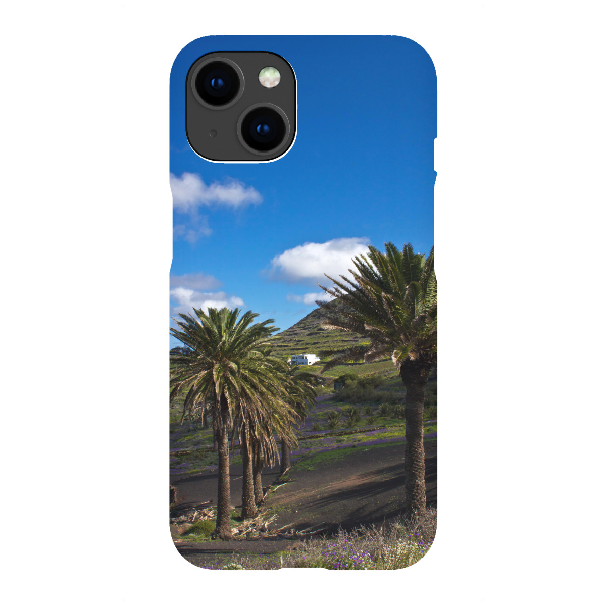 "Palmen auf Lanzarote"für iPhone - Premium-Case Handyhülle artboxONE