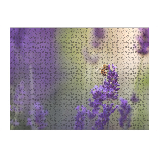 Puzzle Ravensburger "Lavandula" artboxONE - Natur,Floral,Tiere