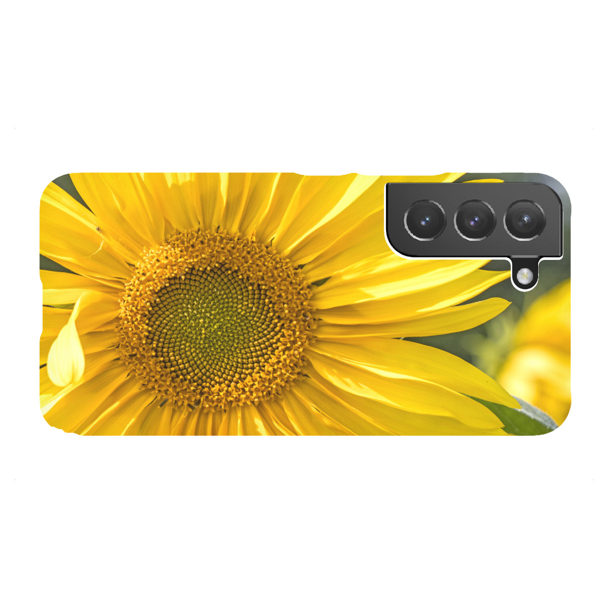"Sonnenblumenblüte"für Samsung Galaxy - Premium-Case Handyhülle artboxONE