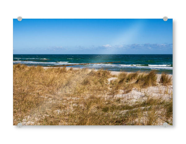 Acrylglasbild "Düne, Dünengras und Ostsee" artboxONE - Natur,Reise,Reise / Strand und Meer