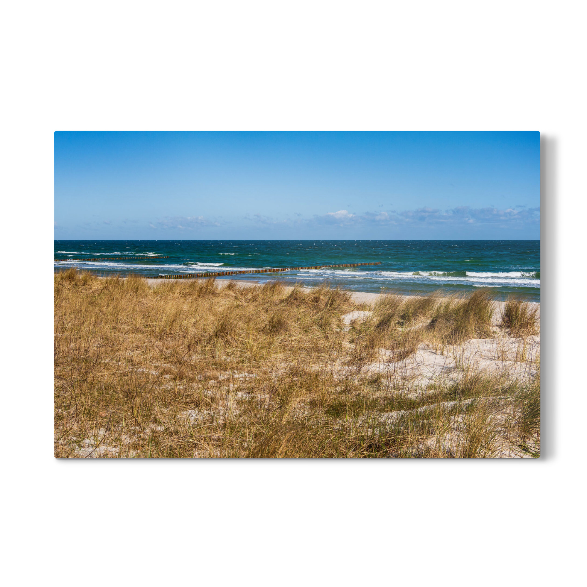 Galerie-Print "Düne, Dünengras und Ostsee" 75x50 cm artboxONE