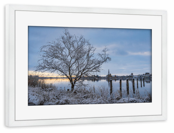 Poster mit Rahmen weiß "Baum, Dalben und Schilf" artboxONE - Natur,Reise,Architektur,Städte / Weitere