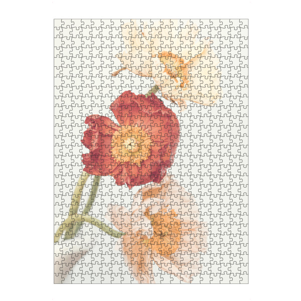 Puzzle Ravensburger "Poppies in bloom" artboxONE - Floral