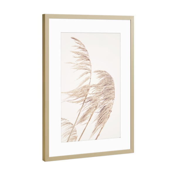 Poster mit Rahmen Gold "Autumn Pampas" artboxONE - Natur