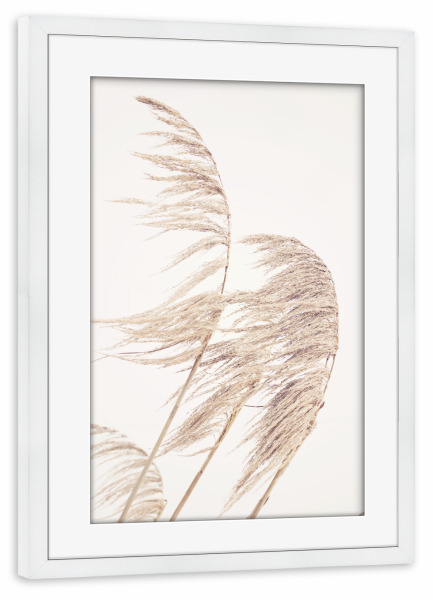 Poster mit Rahmen weiß "Autumn Pampas" artboxONE - Natur