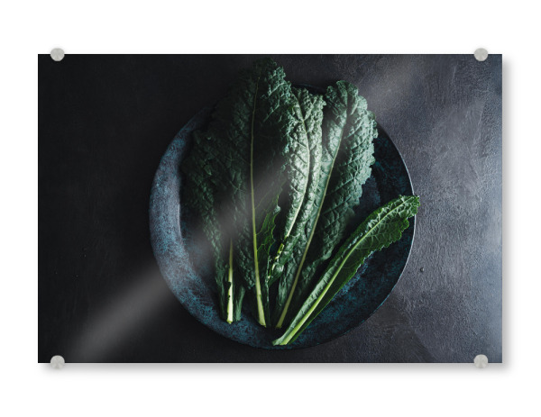 Acrylglasbild "Cavolo nero black kale" artboxONE - Essen & Trinken,Essen & Trinken / Obst & Gemüse