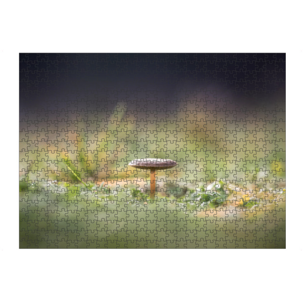 Puzzle Ravensburger "Pilzchen" artboxONE - Natur - Pilz,Pilzlein,Fungi,Wiese,Makrofotografie,Naturfotografie,Mushroom,Natur,Nature,Closeup,Nahaufnahme