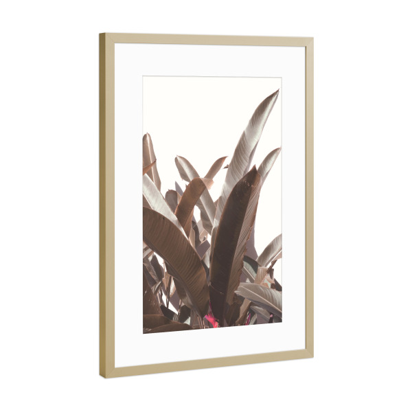 Poster mit Rahmen Gold "Green Banana Leaf" artboxONE - Natur,Floral - Banana,Leaf,Leaves,Pflanze,Plant,Green,Grün,Natur,Nature