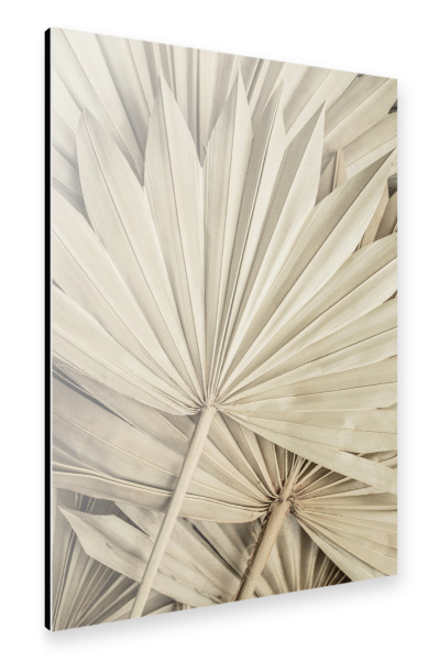 Alu-Dibond "Golden Fan Palm Leaves" 30x20 cm artboxONE