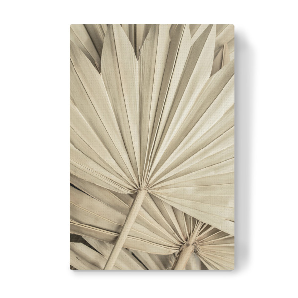 Leinwandbild "Golden Fan Palm Leaves" artboxONE - Natur
