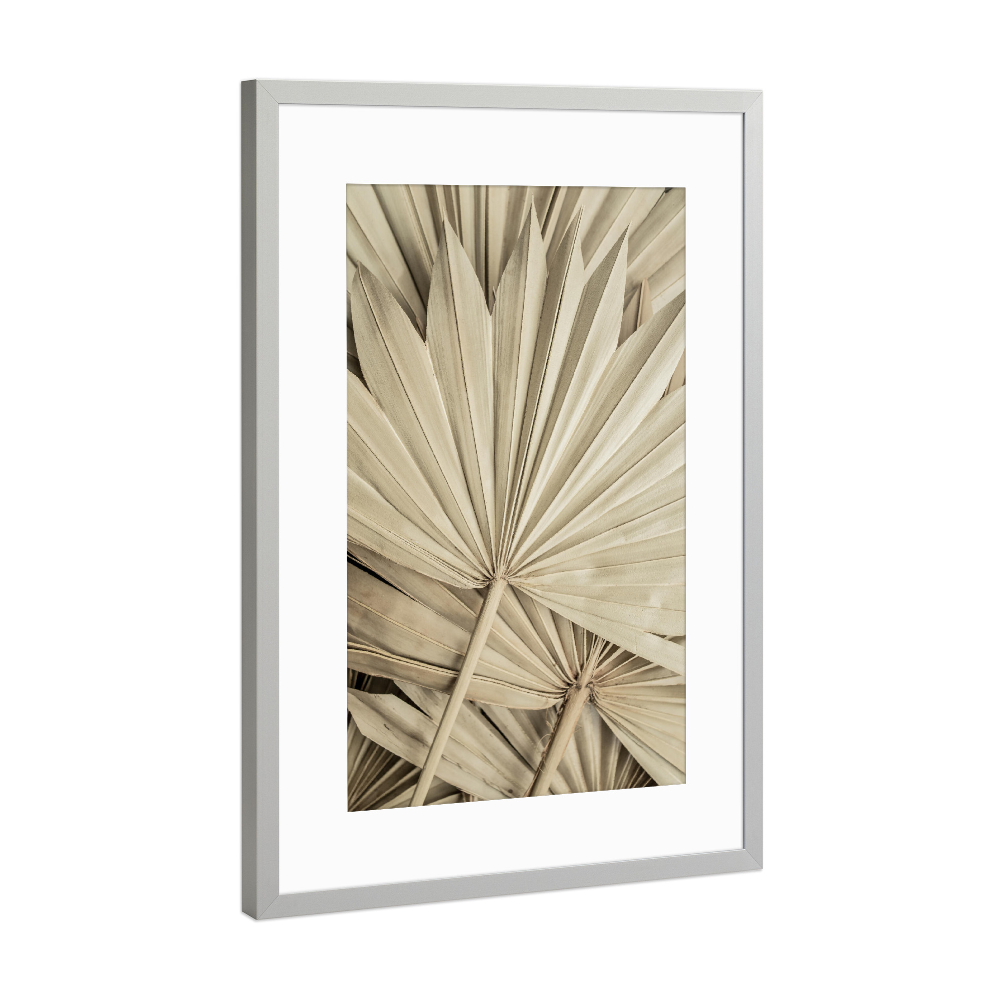 Poster mit Rahmen Silber "Golden Fan Palm Leaves" artboxONE - Natur