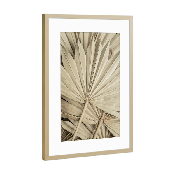Poster mit Rahmen Gold "Golden Fan Palm Leaves" artboxONE - Natur