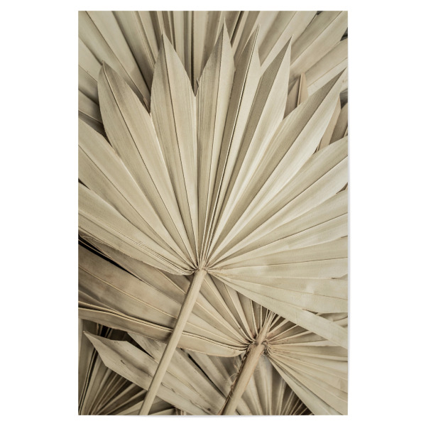 Poster 30x20 cm "Golden Fan Palm Leaves" artboxONE - Natur