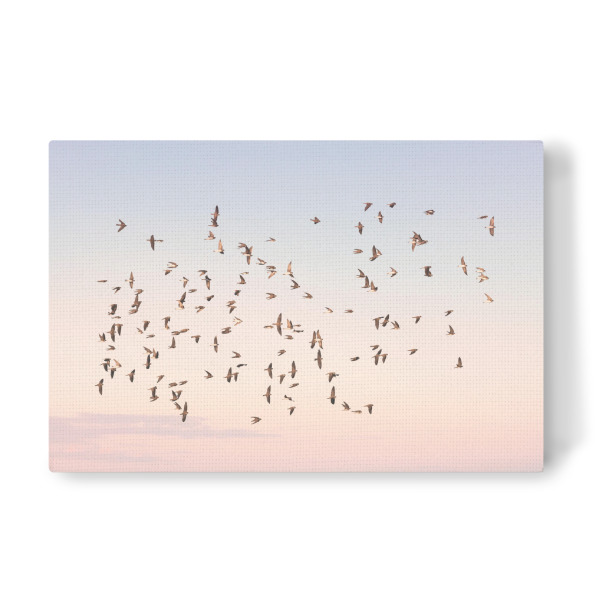 Leinwandbild "Before the Sun Sets" artboxONE - Natur,Reise,Tiere