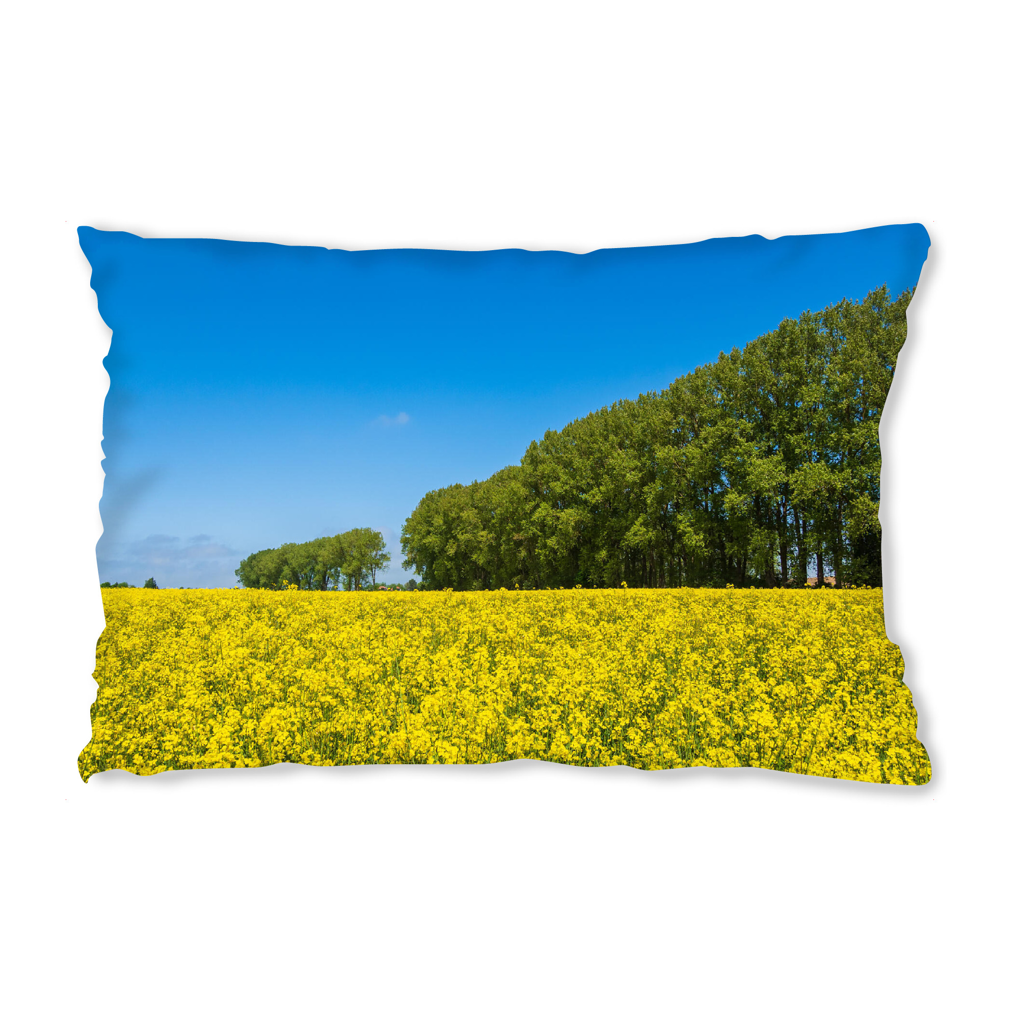 Design-Kissen "Rapsfeld und Bäume" artboxONE - Natur,Reise