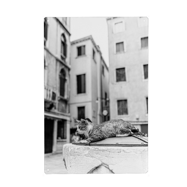 Metall Poster "Auf der Lauer" artboxONE - Reise,Tiere,Architektur