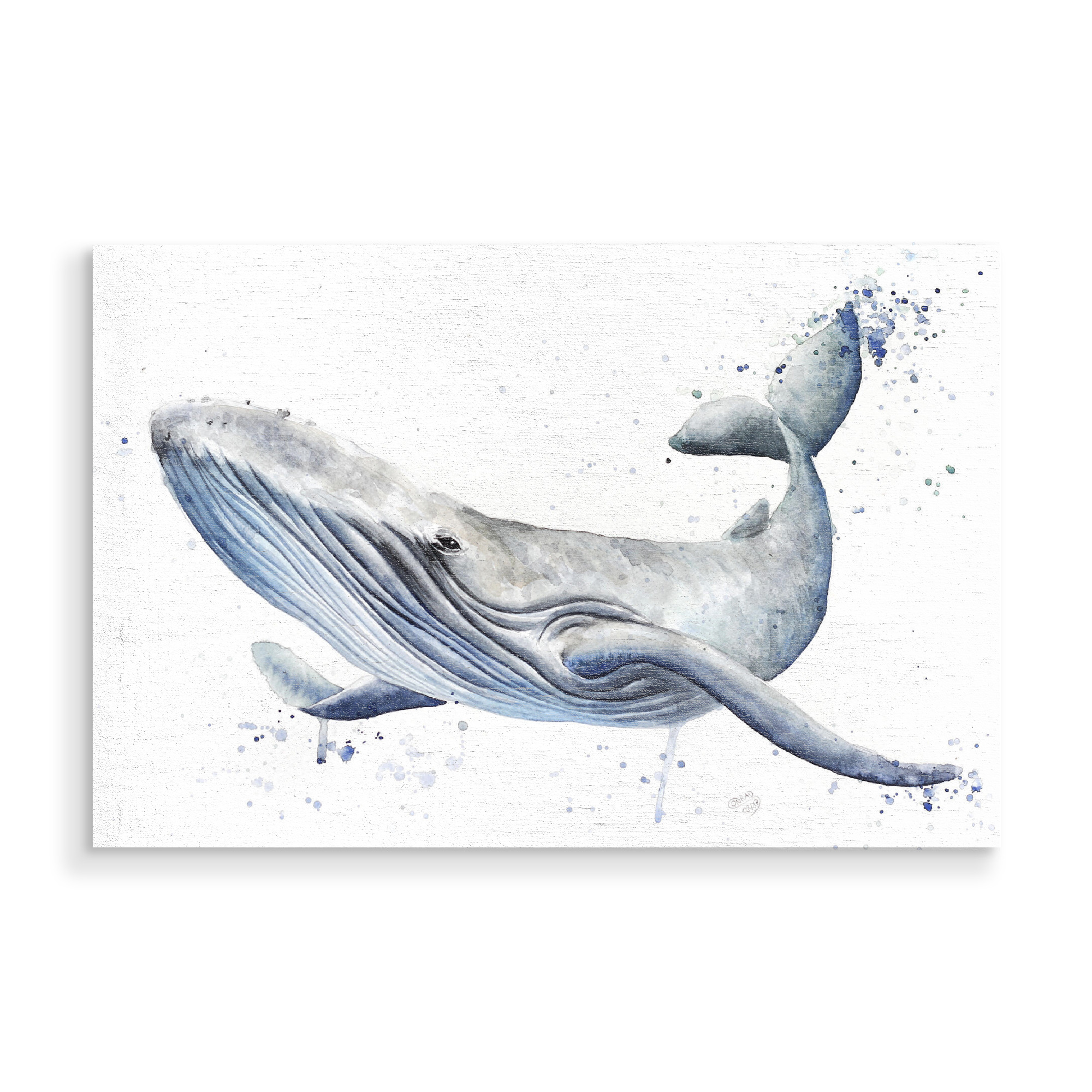Holzbild "Wal Illustration" artboxONE - Tiere,Unterwasser