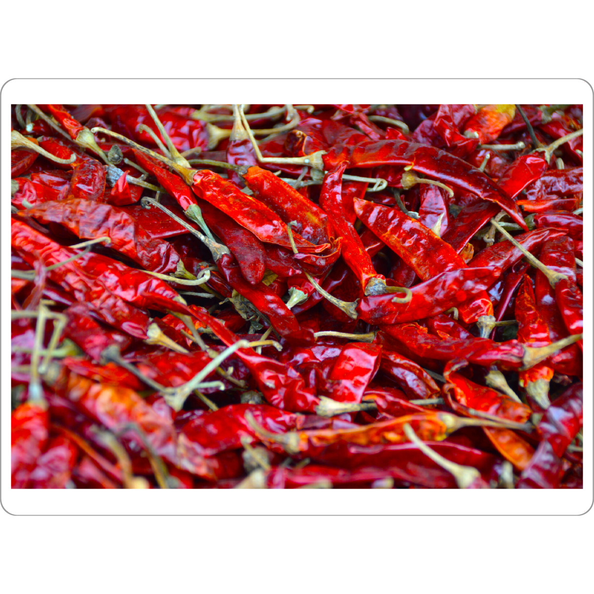Tischset "Dried Chili Peppers" artboxONE - Reise / Länder,Essen & Trinken / Obst & Gemüse