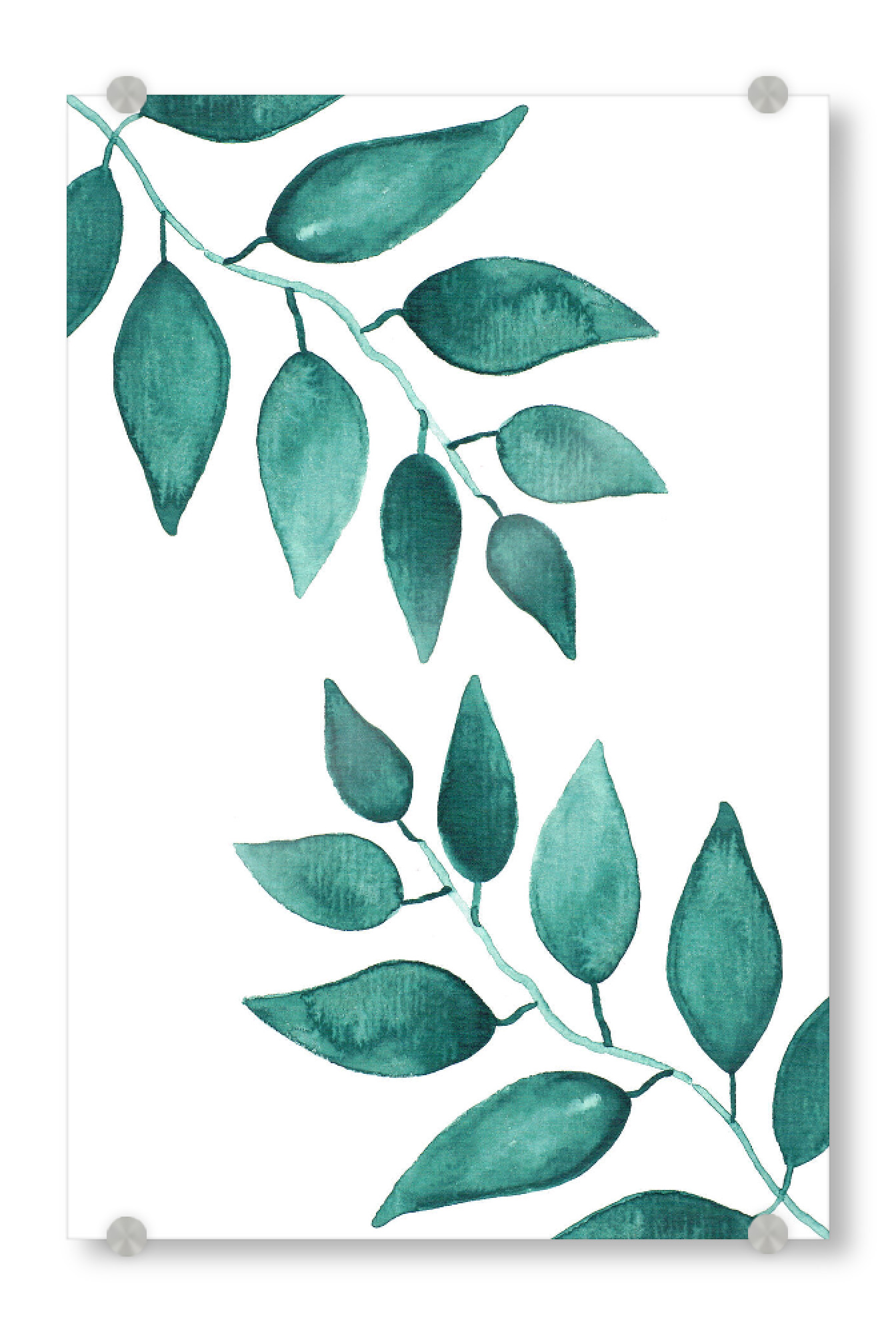 Acrylglasbild "Aquarell Zweige" artboxONE - Natur,Floral