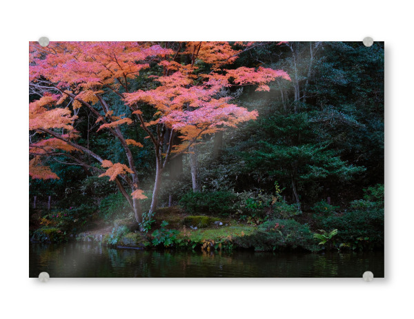 Acrylglasbild "ZEN GARDEN" artboxONE - Natur,Reise / Asien,Städte / Tokio