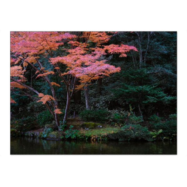 Puzzle Ravensburger "ZEN GARDEN" artboxONE - Natur,Reise / Asien,Städte / Tokio