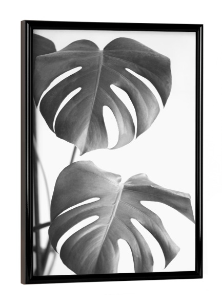 Poster mit schwarzem Rahmen "My monstera BW" artboxONE - Natur