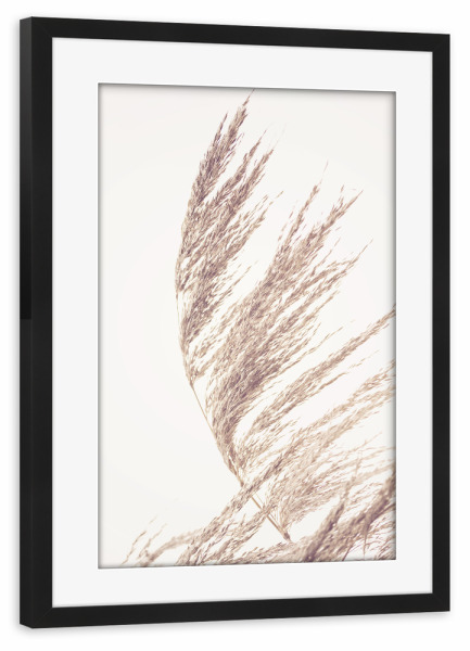 Poster mit Rahmen schwarz "Autumn Pampas Grass" artboxONE - Natur