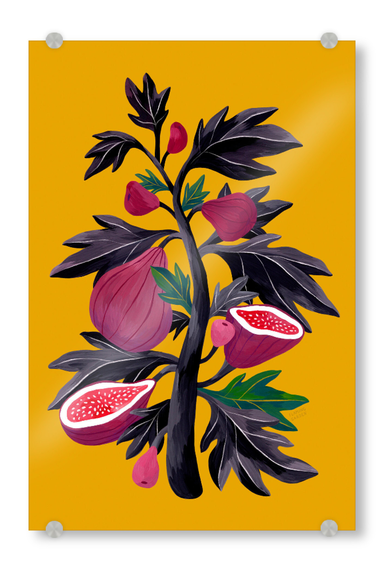 Acrylglasbild "Flaming Garden - Feigenbaum" artboxONE - Natur,Floral,Comic,Essen & Trinken / Obst & Gemüse