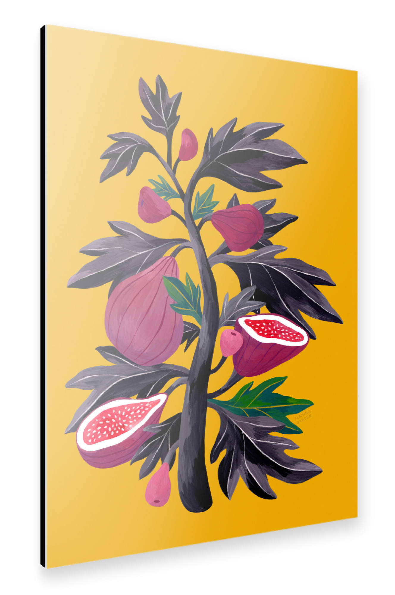 Alu-Dibond "Flaming Garden - Feigenbaum" 30x20 cm artboxONE