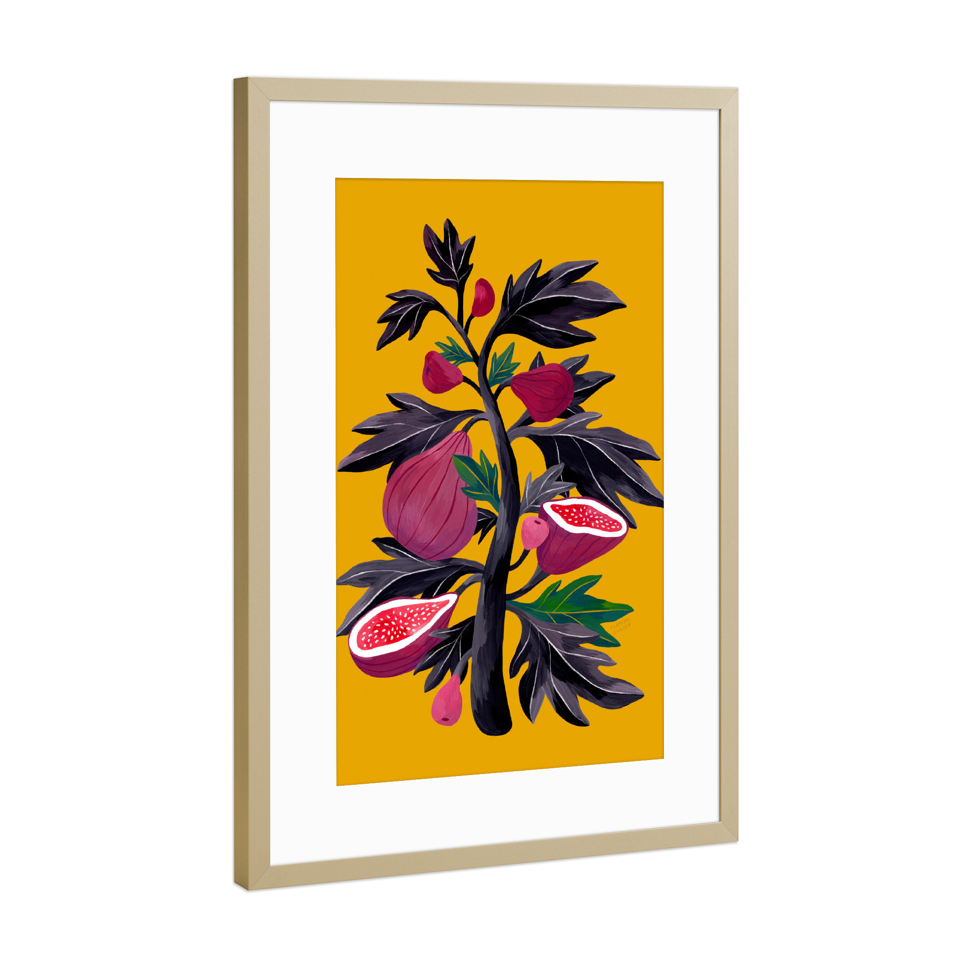 Poster mit Rahmen Gold "Flaming Garden - Feigenbaum" artboxONE - Natur,Floral,Comic,Essen & Trinken / Obst & Gemüse